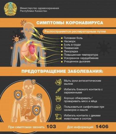 Коронавирус инфекциясы деген не?