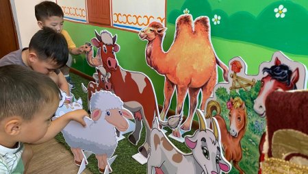 Ұйымдастырылған іс-әрекет «Жайлауға саяхат»