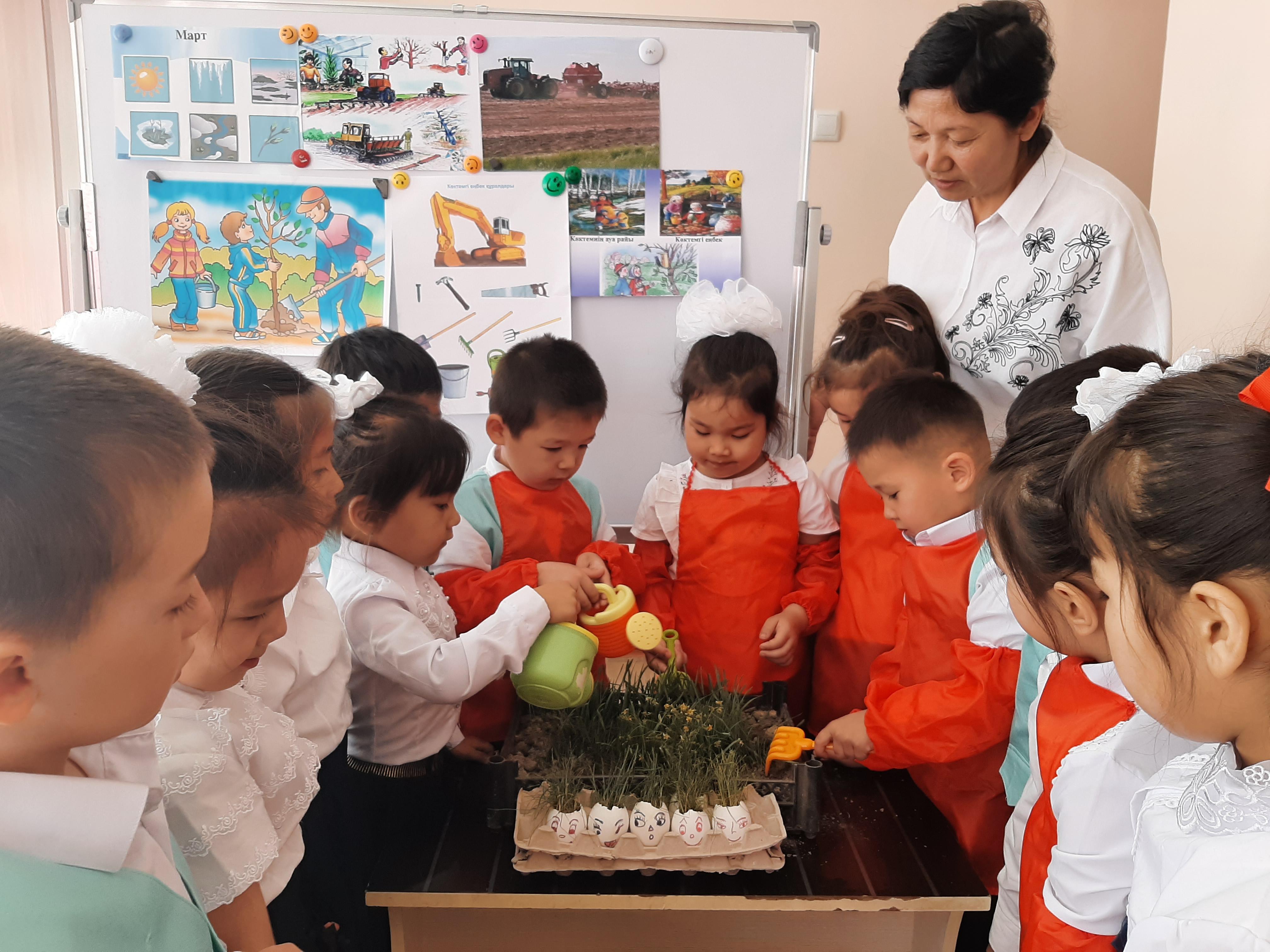 Ашық ұйымдастырылған оқу қызметі