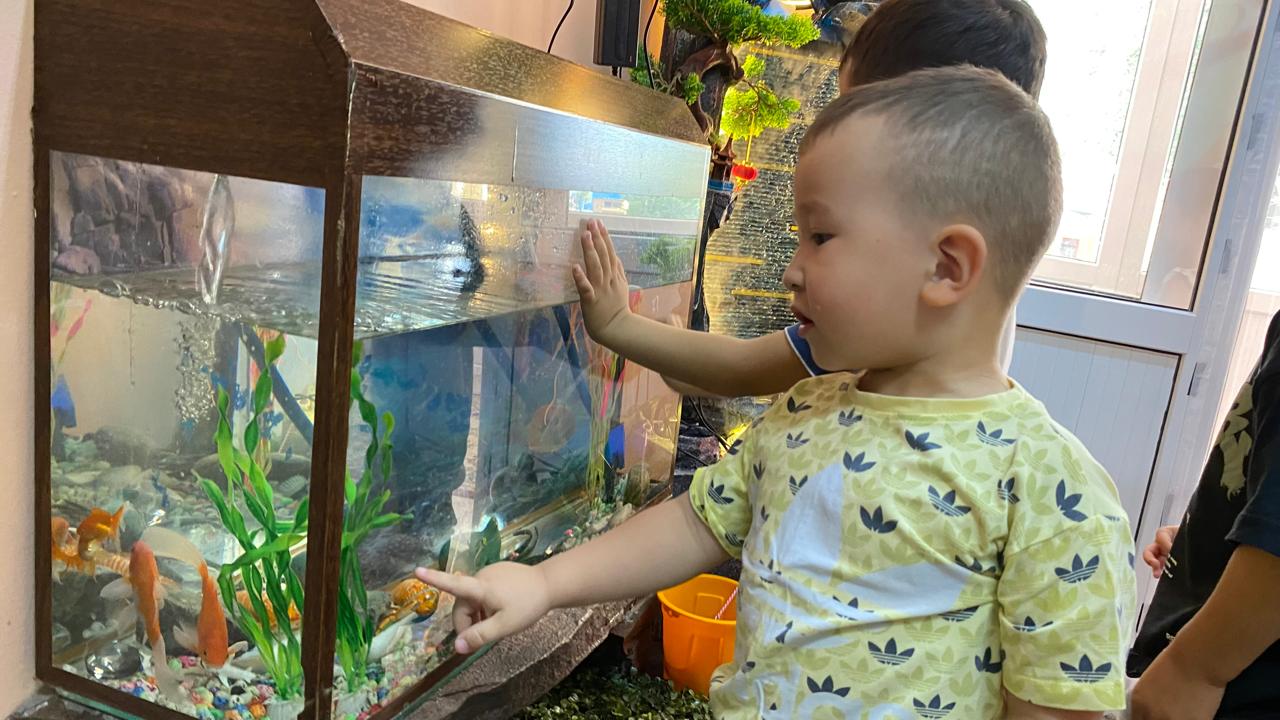 Ұйымдастырылған іс-әрекет «Алтын балық»